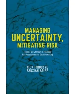 Managing Uncertainty, Mitigating Risk: Tackling the Unknown in Financial Risk Assessment and Decision Making