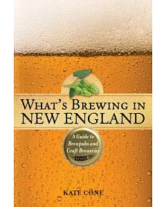 What’s Brewing in New England: A Guide to Brewpubs and Craft Breweries