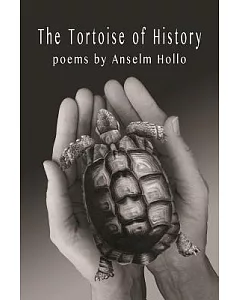 The Tortoise of History