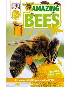 Amazing Bees