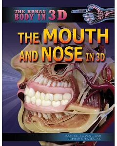 The Mouth and Nose in 3D