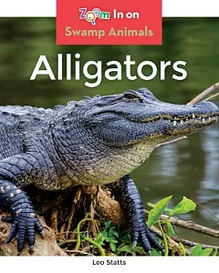 Alligators