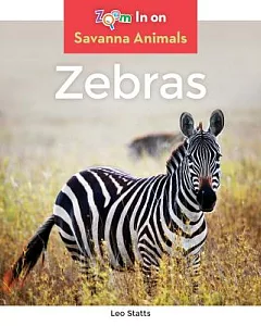 Zebras