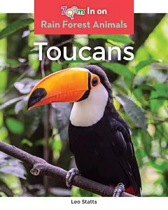 Toucans