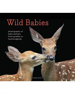 Wild Babies: Photographs of Baby Animals from Giraffes to Hummingbirds