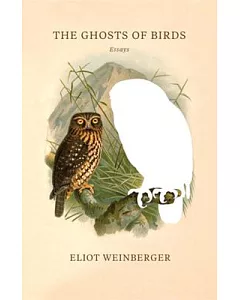 The Ghosts of Birds