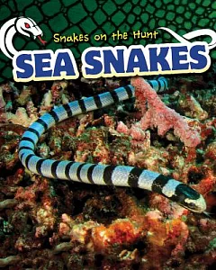 Sea Snakes