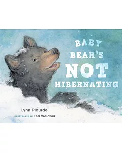 Baby Bear’s Not Hibernating