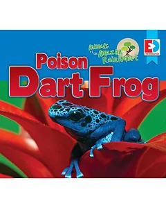 Poison Dart Frog