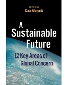 A Sustainable Future: 12 Key Areas of Global Concern