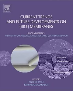 Current Trends and Future Developments on Bio- Membranes: Silica Membranes: Preparation, Modelling, Application, and Commerciali