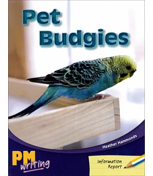 PM Writing 1 Yellow/Blue 8/9 Pet Budgies