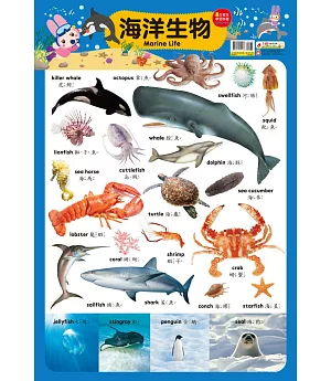 忍者兔學習掛圖：海洋生物