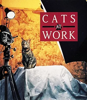 Cats at Work