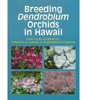 Breeding Dendrobium Orchids in Hawaii