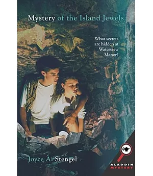 Mystery of the Island Jewels