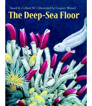 The Deep-Sea Floor