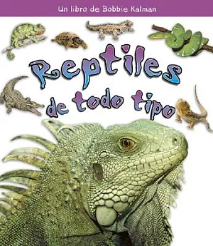 Reptiles De Todo Tipo / Reptiles of all Kinds