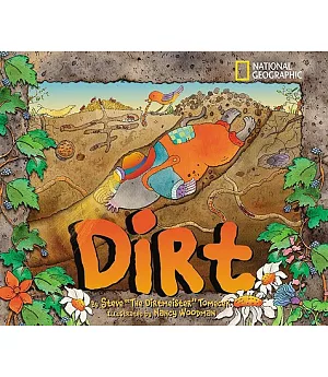 Dirt