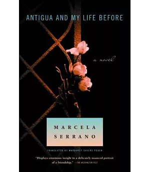 Antigua and My Life Before: A Novel