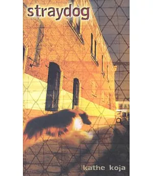 Straydog