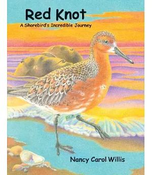 Red Knot: A Shorebird’s Incredible Journey