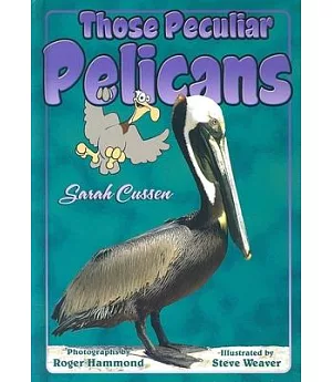 Those Peculiar Pelicans