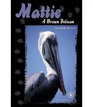 Mattie: A Brown Pelican