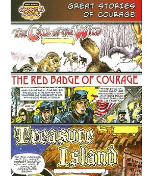 Great Stories of Courage /Call of the Wild/ Red Badge of Courage/ Treasure Island: The Call of the Wild/ the Red Badge of Courag