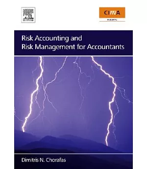 Risk Accounting and Risk Management for Accountants