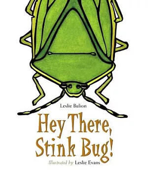 Hey There, Stink Bug!