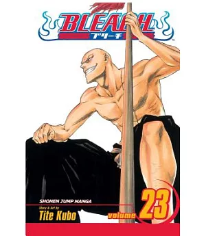 Bleach 23