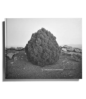 Michael Lundgren: Transfigurations