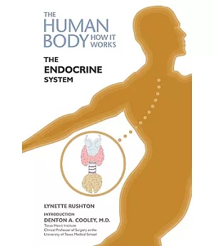 The Endocrine System