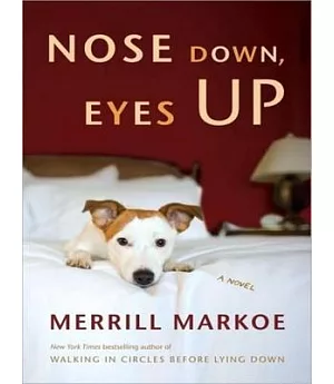 Nose Down, Eyes Up: Library Edition