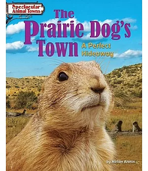 The Prairie Dog’s Town: A Perfect Hideaway