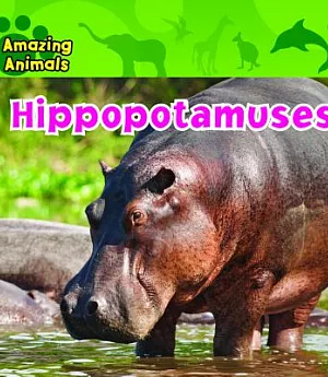 Hippopotamuses