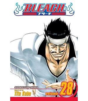 Bleach 28