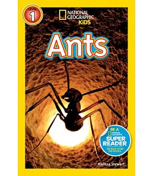 Ants