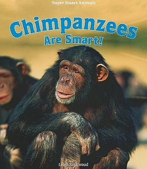 Chimpanzees Are Smart!