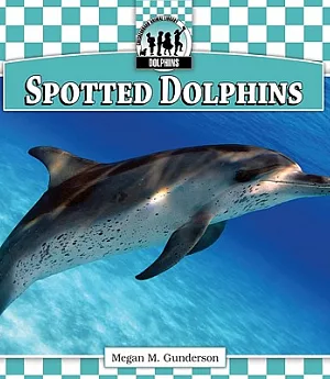 Spotted Dolphins