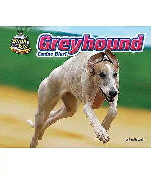 Greyhound: Canine Blur!