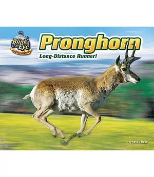 Pronghorn: Long-Distance Runner!