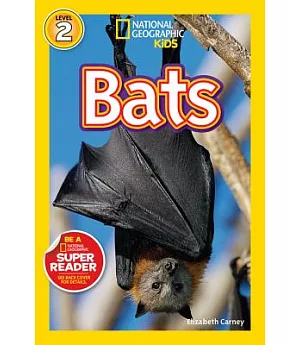 Bats