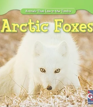 Arctic Foxes