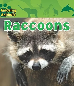 Raccoons