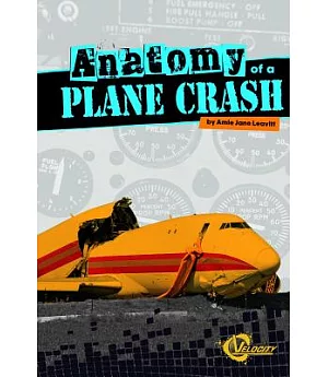 Anatomy of a Plane Crash