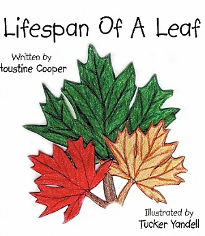 Lifespan of a Leaf