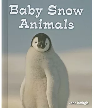 Baby Snow Animals