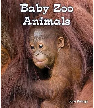 Baby Zoo Animals